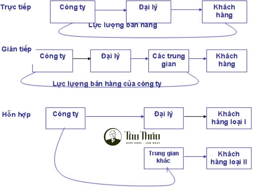 Thiết kế mô hình tổ chức lực lượng bán hàng