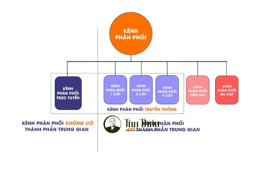 Kênh phân phối là gì? Cách xây dựng kênh phân phối hiệu quả
