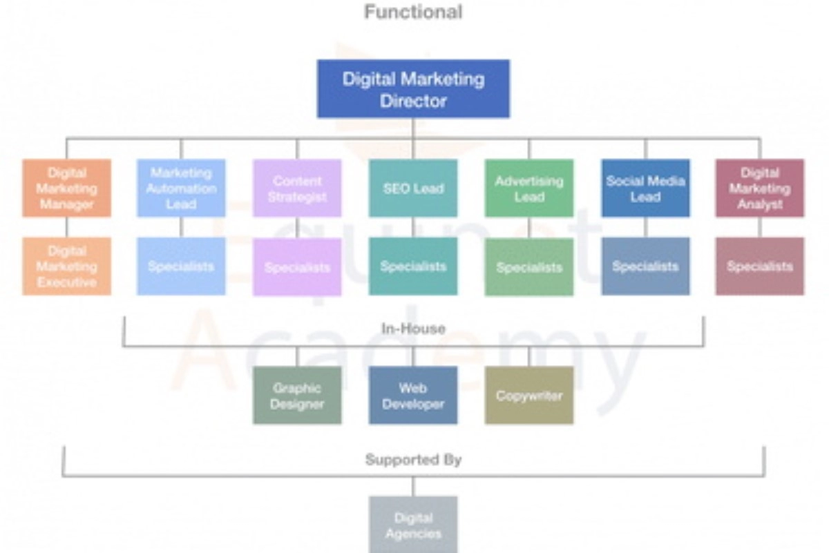 Cơ cấu tổ chức phòng Digital Marketing và sơ đồ tổ chức